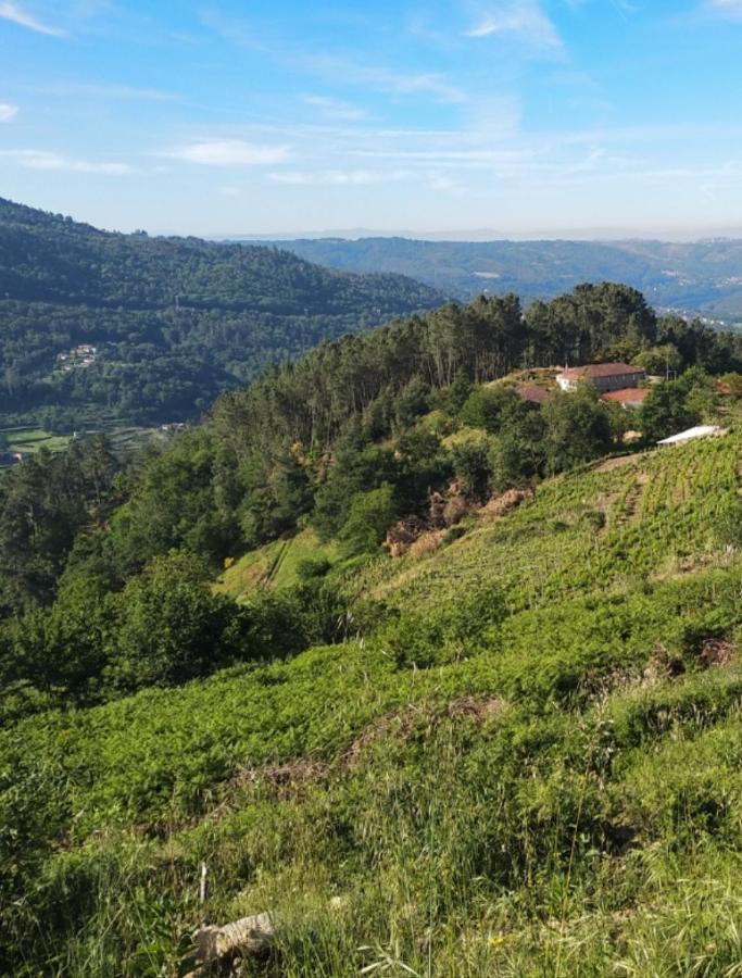 Casa Do Cuco, Ribeira Sacra Villa Orense Kültér fotó